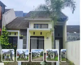 Dijual Rumah Murah di Perum Kaliurang Green Garden Jember