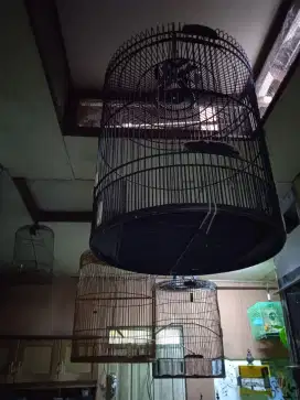 Kandang Murai Non Tebok