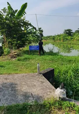 KELURAHAN KEMLAGI GEDE, TURI, LAMONGAN