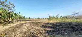 KELURAHAN SUMBERKEREP, MANTUP, LAMONGAN