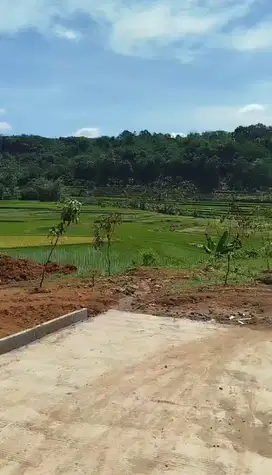 Nuansa Alam Agroeduwisata, kavling legalitas aman harga terjangkau