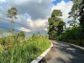Dijual Tanah tawangmangu murah