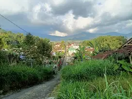 Tanah murah ditawangmangu karanganyar