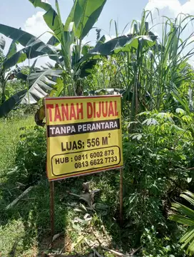 Dijual Tanah Wilayah Jambi