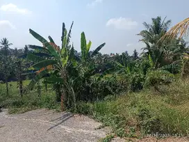 Tanah kavling untuk rumah tinggal di Desa Subamia Tabanan