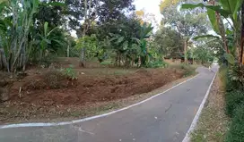 Dijual kebun durian murah dijumantono