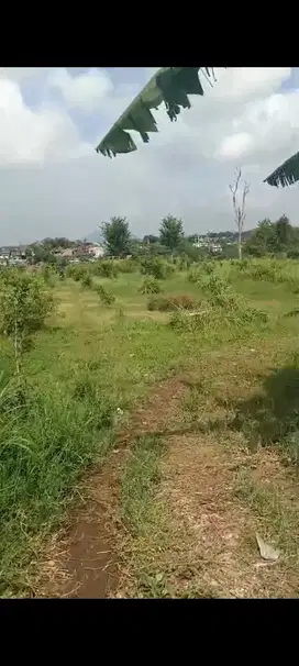 Tanah Emas Pandanlandung Wagir Malang