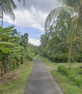 Tanah Zona Industri di Candikusuma Melaya Jembrana Bali
