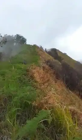 Lahan Besar Bromo cocok untuk Hotel, wisata
