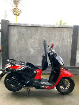 HONDA SCOOPY 2023