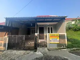 disewakan rumah pertahun masih bagus