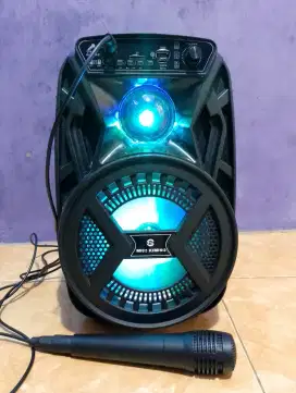 Speaker bluetooth karaoke