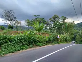 Jual tanah nol jalan Prigen