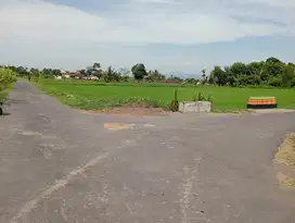 Dijual Tanah Sawah View Merapi Selomartani