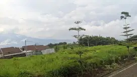 Tanah Kavling Dau Malang Cocok Untuk Rumah, Kost dan Kafe