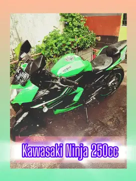 Kawasaki ninja 250cc