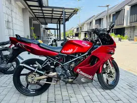 Ninja RR OLD 2009 Red Marron