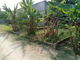 Dijual tanah dicilebut dekat stasiun cikebut