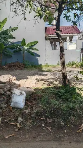 Tanah di Pondok Kelapa Dekat Jalan Raya , LRT Jatibening, Tol Becakayu