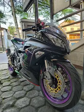 Kawasaki ninja fu 250 full modif