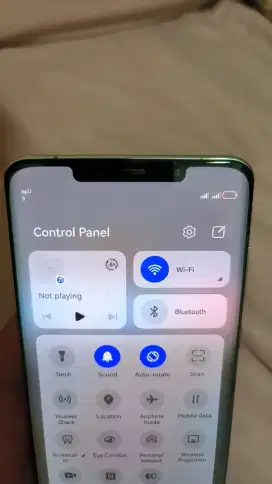HUAWEI MATE 50 PRO 256 GB SILVER IMEI BEA CUKAI