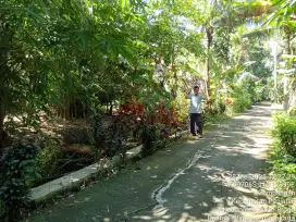 Tanah murah di panjatan Kulonprogo