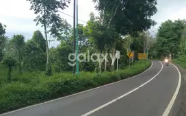 Tanah Cocok Untuk Hotel Dan Restoran ,Lokasi Ke Arah Gunung Ijen di Jl