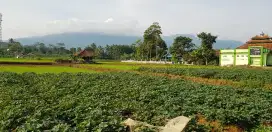 Jual Tanah Kavling Siap Bangun Sisi Jalan Desa