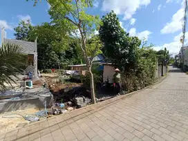 Sangat cocok di bangun kos kosan atau rumah hunian