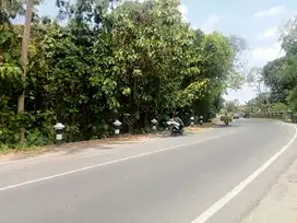 DIJUAL TANAH PEKARANGAN ARGOREJO