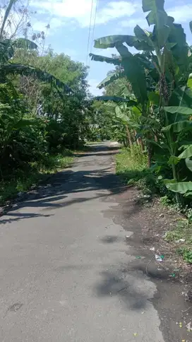 Dijual Tanah Sawah Jakal Km 8 Dekat Tengkleng Gajah