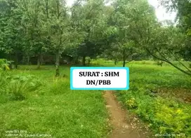 TANAH KEBUN DURIAN MURAH DAN STRATEGIS DI CISEENG BOGOR