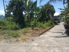 DIJUAL TANAH PEKARANGAN LOKASI SIDOMOYO GODEAN