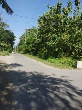 DIJUAL TANAH PEKARANGAN LUAS MARGOAGUNG SEYEGAN