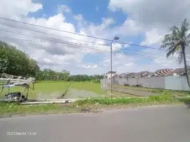 Dijual Tanah Sawah Timur Stadion Maguwoharjo