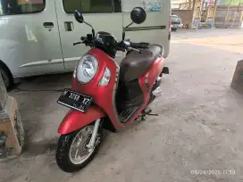 Honda Scoopy 2021