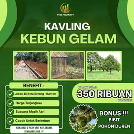 Tanah kavling kebun Kota Serang