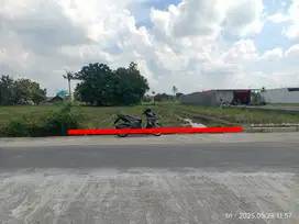 Dijual Tanah Sawah Murah di jl Godean km 7 Sidomoyo