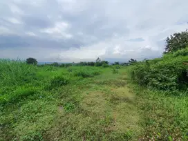 Tanah Kavling Green Alaya 9, Lingkungan Asri & Nyaman