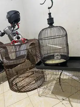 Jual cepat nego sampai jadi  jual paketan