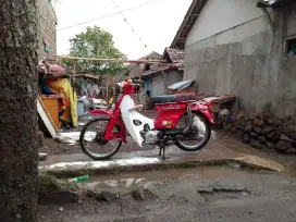 Jual cepat C70 basic vega