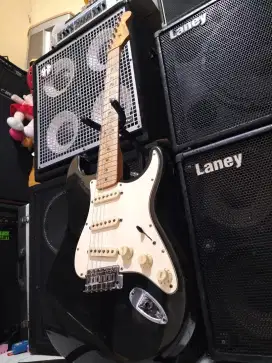 Gitar Fender stratocaster maxico