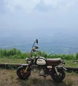 Smash modif monkey gorilla