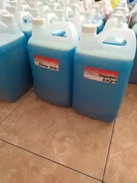 Shampoo motor salju