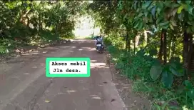 Jual tanah kebun durian,manggis Jasinga Bogor