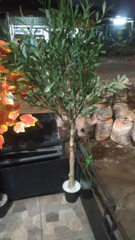 Pohon olive Artificial