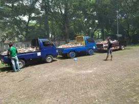 Jasa angkut & buang brangkal puing barangkal sampah daun prabotan dll