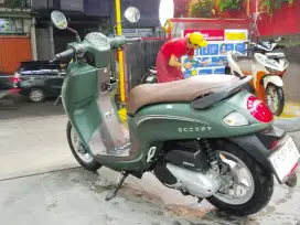 Honda Scoopy Stylish Hijau