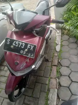Xeon gt125 fi plat s tuban