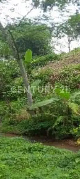 Tanah Kebun Di Karawang